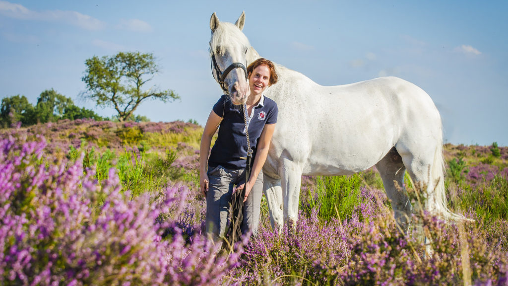 Bewegingsverlies van het cranio sacrale systeem en de gevolgen daarvan